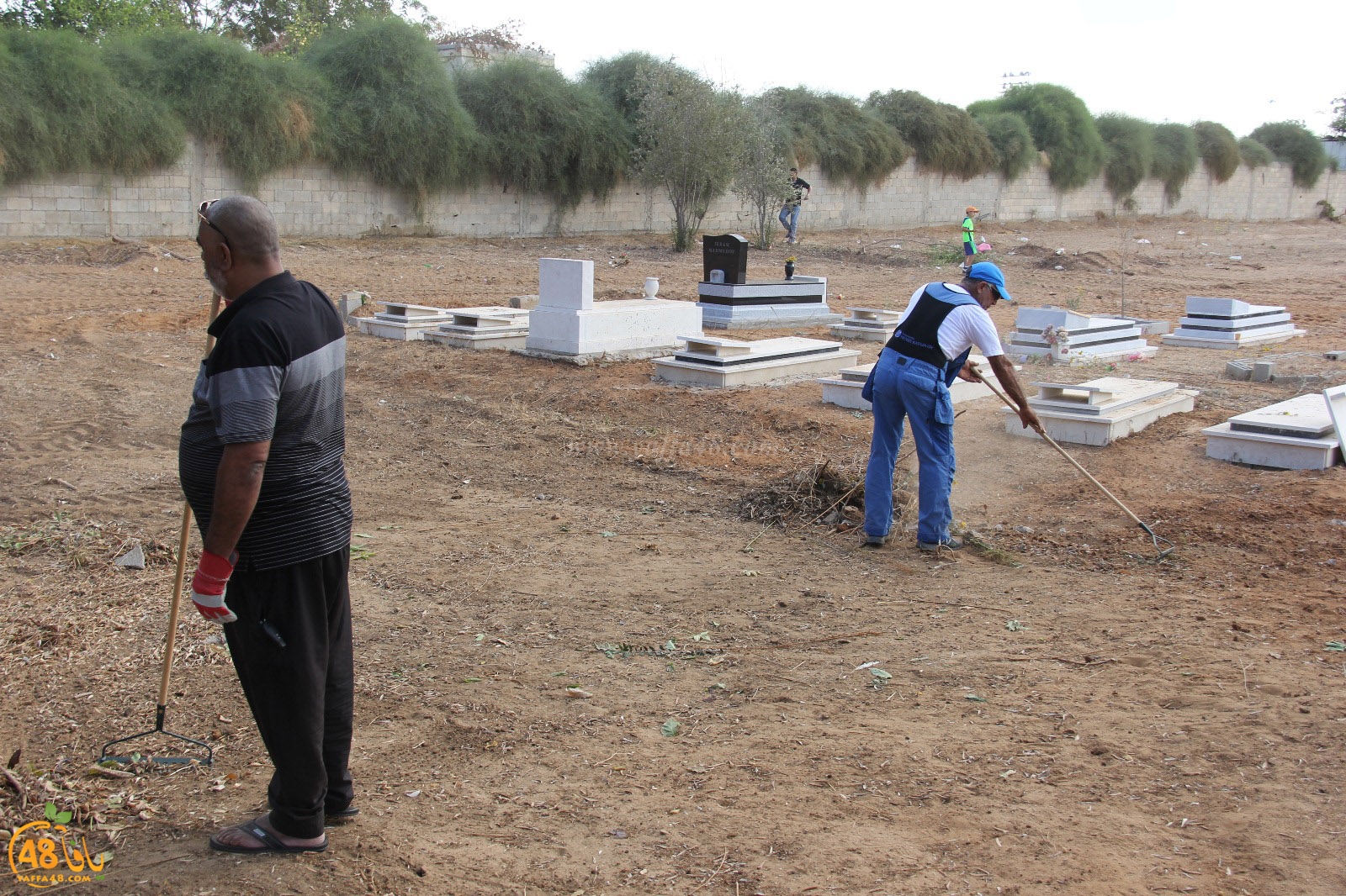 tasoo tandefet (24).jpg